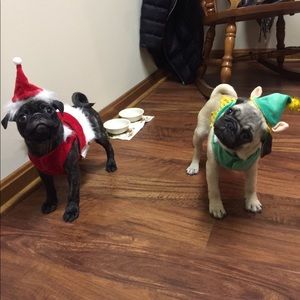 Meet your Posher, Jake